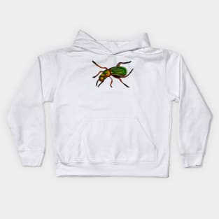 Colorful Insect Kids Hoodie